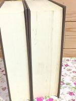 真言密教成立過程の研究 正・続 2冊セット
