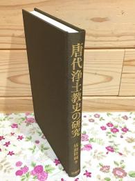 唐代浄土教史の研究