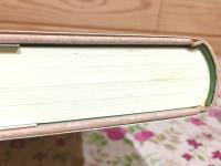 ブッダの変貌 交錯する近代仏教 日文研叢書
