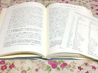 仏教実在論の研究 三世実有説論争 上下セット