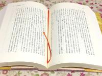 仏教神話学I大黒天変相 仏教神話学Ⅱ観音変容譚 2冊セット