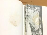 楊仁山の「日本浄土教」批判 小栗栖香頂『真宗教旨』をめぐる日中論争
