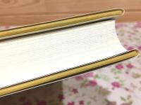ツォンカパの中観思想 : ことばによることばの否定