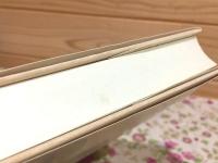 入中論 全訳 チャンドラキールティ