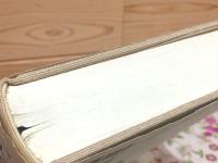 『大乗止観法門』の研究