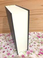 チャンドラキールティ入中論および自註(『入中論』註釈書(自註)・和訳) : 付、ジャヤーナンダ『復註』要文抜き書き