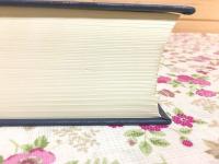 チャンドラキールティ入中論および自註(『入中論』註釈書(自註)・和訳) : 付、ジャヤーナンダ『復註』要文抜き書き