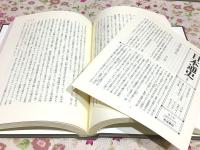 岩波講座 日本通史 全21巻＋別巻4 計25冊揃
