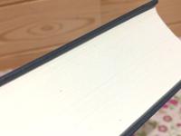 釈摩訶衍論の新研究