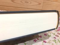 釈摩訶衍論の新研究