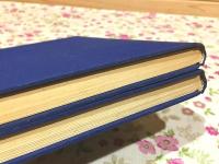 パズルと数学 Ⅰ・Ⅱ 数学教育叢書