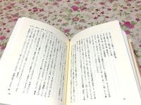 鉄腕一代 超人投手の豪快野球人生 野球殿堂シリーズ