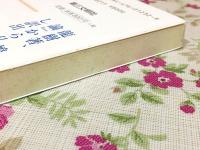 大智度論の物語3 レグルス文庫232