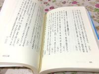 大乗仏典 14 龍樹論集 中公文庫