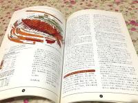 時代に帆を揚げて : 白山丸復原の足跡 : 白山丸建造記念誌