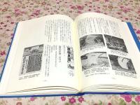 但馬・廻船史話