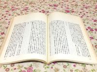 和船と藁 和船を中心として佐渡小木町の集い