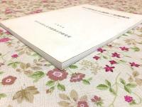 山口県雨乞台遺跡の発掘調査 山口大学人文学部考古学研究室研究報告 第5集