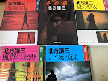 挑戦シリーズ  全5巻揃い  （1 危険な夏/2 冬の猿/3 風の聖衣/4 風群の荒野/5 いつか友よ）  ＜集英社文庫＞