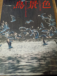 鳥景色  叶内拓哉写真集