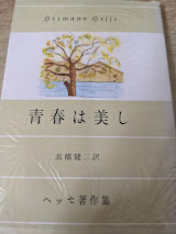 青春は美し  ヘッセ著作集 （青春は美し/旋風/ラテン語学校生/流浪の果て）