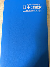 日本の樹木