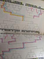 幽遊白書  全19巻揃い  ＜ジャンプコミックス＞