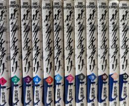 サンクチュアリ  全12巻揃い  ＜ビッグコミックス＞