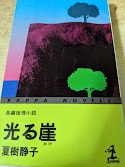 光る崖  ＜カッパ・ノベルス KAPPA NOVELS＞