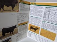 1990 BEEF SIRES  SHOW RING ABS ROLL OF HONOR　(肉用牛)　洋書