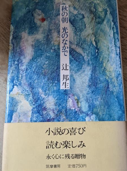 香色代理人 連作リサーチ・ノベル/光文社/藤本義一（作家）