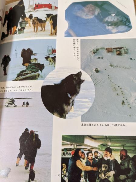 南極物語 生きていた奇跡の犬 タロとジロ 映画ストーリー 高倉健 渡瀬恒彦 夏目雅子 荻野目慶子 村山雅美 監修 リサイクルブック 古本 中古本 古書籍の通販は 日本の古本屋 日本の古本屋