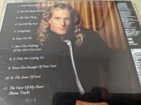 【CD】  マイケル・ボルトン MICHAEL BOLTON   THE ONE THING   （国SRCS6853）