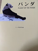 パンダ  Planet of the panda