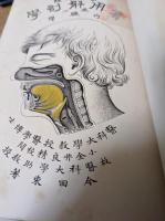 実用解剖学
