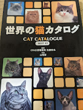 世界の猫カタログ  Best 43