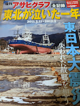 東北が泣いた一年   2011.3.11~2012.2 : 全記録