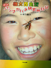 雄太昆虫記 : ぼくのアシナガバチ研究所日記