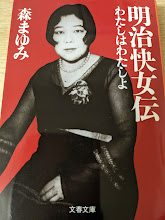 明治快女伝 : わたしはわたしよ