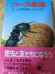 ファーブル昆虫記