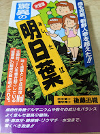 決定版  驚異の明日葉   癌も克服、朝鮮人参を超えた!!