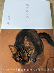 猫のあしあと