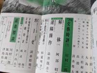 文藝  1979年12月号 （文藝賞発表 ある女のグリンプス 冥王まさ子/南風 宮内勝典 他）