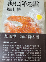 海に降る雪