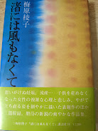 渚には風もなくて