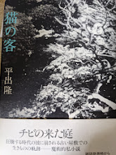 猫の客