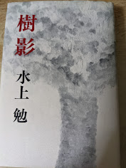 樹影