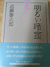 明るい暗室