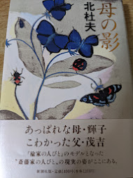 母の影