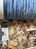 百年 since 1923  ISHITAYA  石田屋 100周年 （パンフレット）